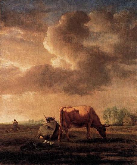 Adriaen van de Velde Cows on a Meadow Norge oil painting art